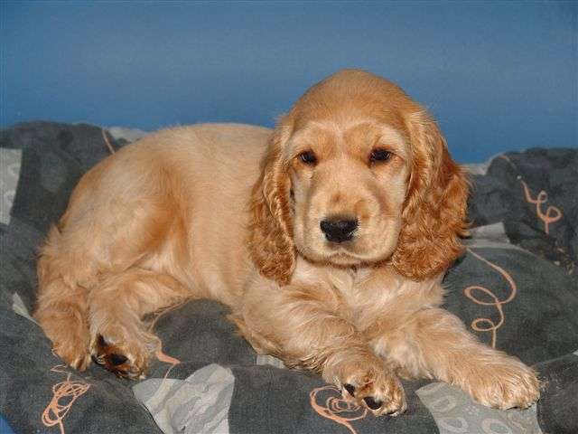 abfad9e228_518447_o2